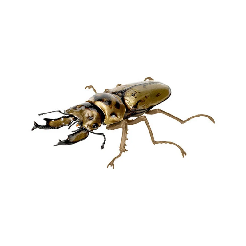 Kolekcja figurek anime BANDAI Original Toys Ikemono Taisyou ADVANCE Gacha Lucky Draw Allomyrinadichotoma