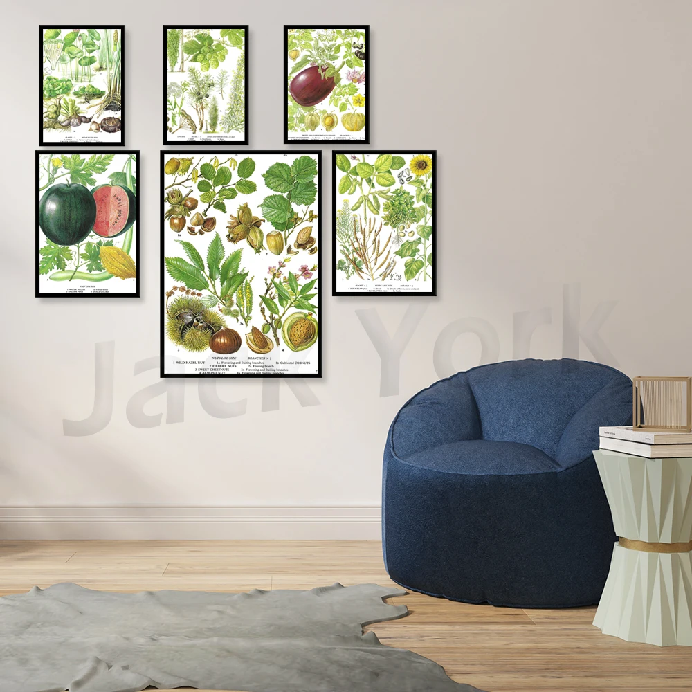 Aubergine, Pianta all'uovo, Mi - Plant Jackfruit recensione e prezzo