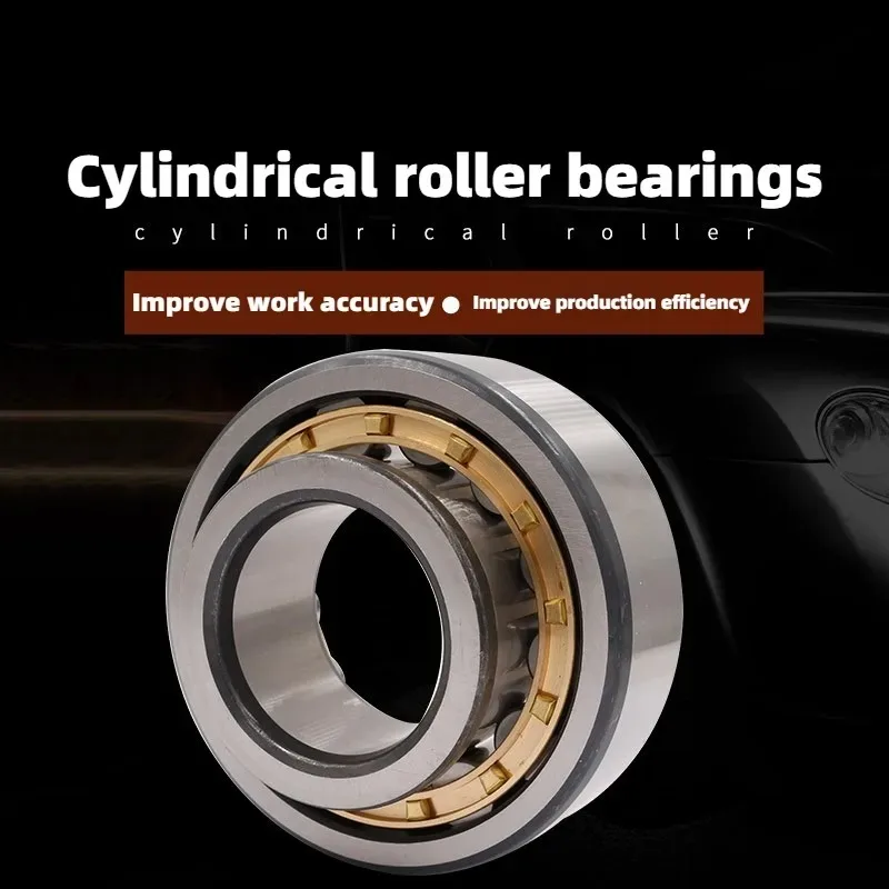 TE China high quality RN205 RN206 RN307 RN308 RN309 RN312 222 EMJ gear reducer cylindrical roller bearing