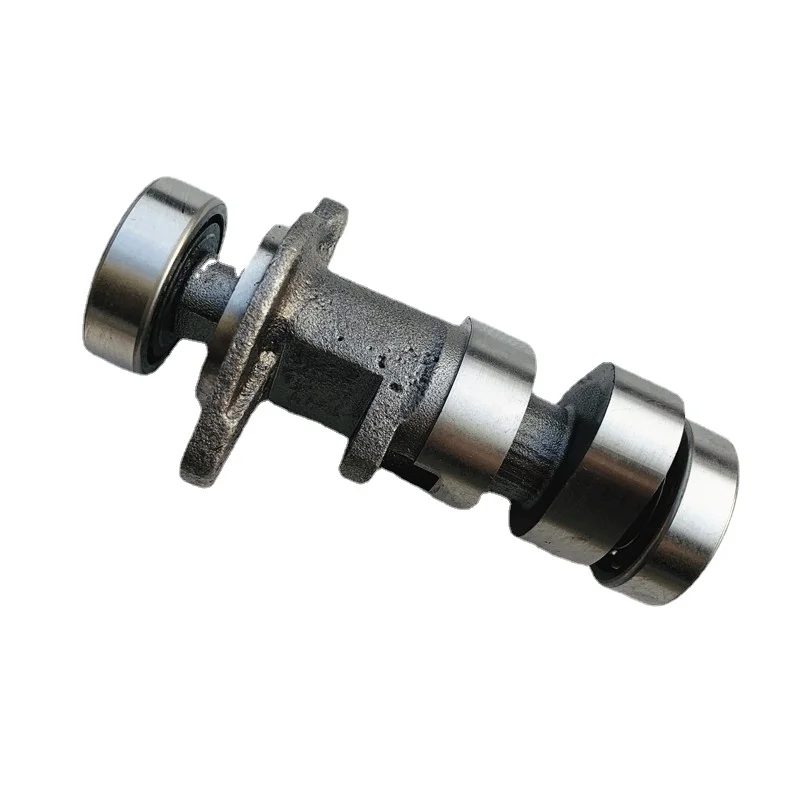 Motorcycle for Huayang Zhenglin Xinyuan X6 Zuma for Zongshen Rx3 NC250 Engine Camshaft for Cqr R8