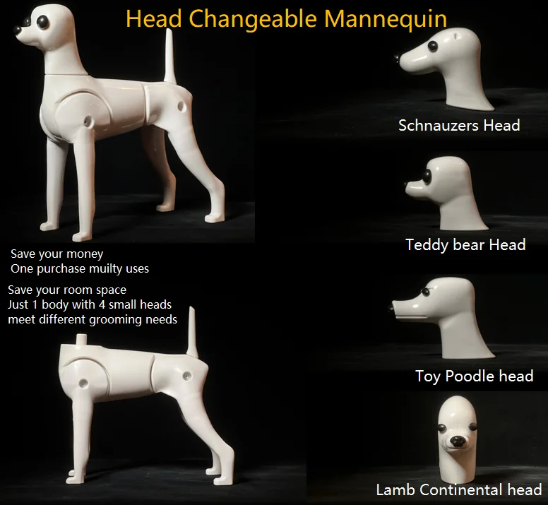 Multifunction Grooming Model Dog Mannequin Display Dog Plastic Skeleton For Pet Groomer 1 Body 4 changeable Head