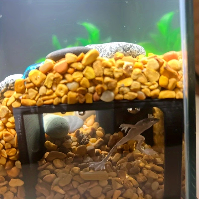 Axolotyl-cangrejo de camarón para acuario, cueva esquinera oculta con ventana de visión