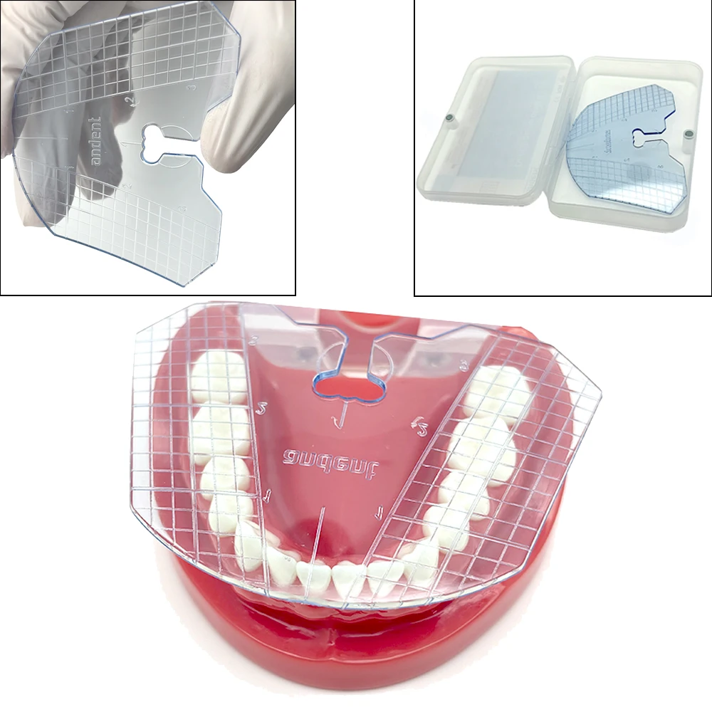 1pcs Dental Guide Plate Teeth Arrangement on Denture Tools Dental Tools Dental Lab Measurement Tools Transparent Blue