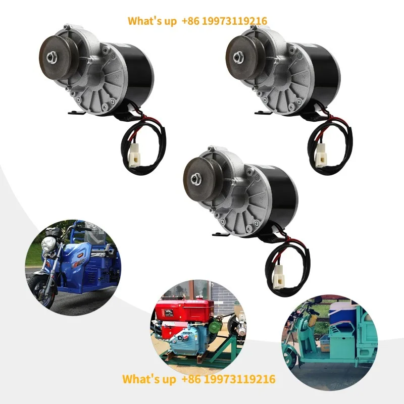 

2026 12/24/36V 250W Gear Reduction Electric Brushed DC Motor Powerful Electric Motor with Belt Pulley, Gear Motor For Scooters