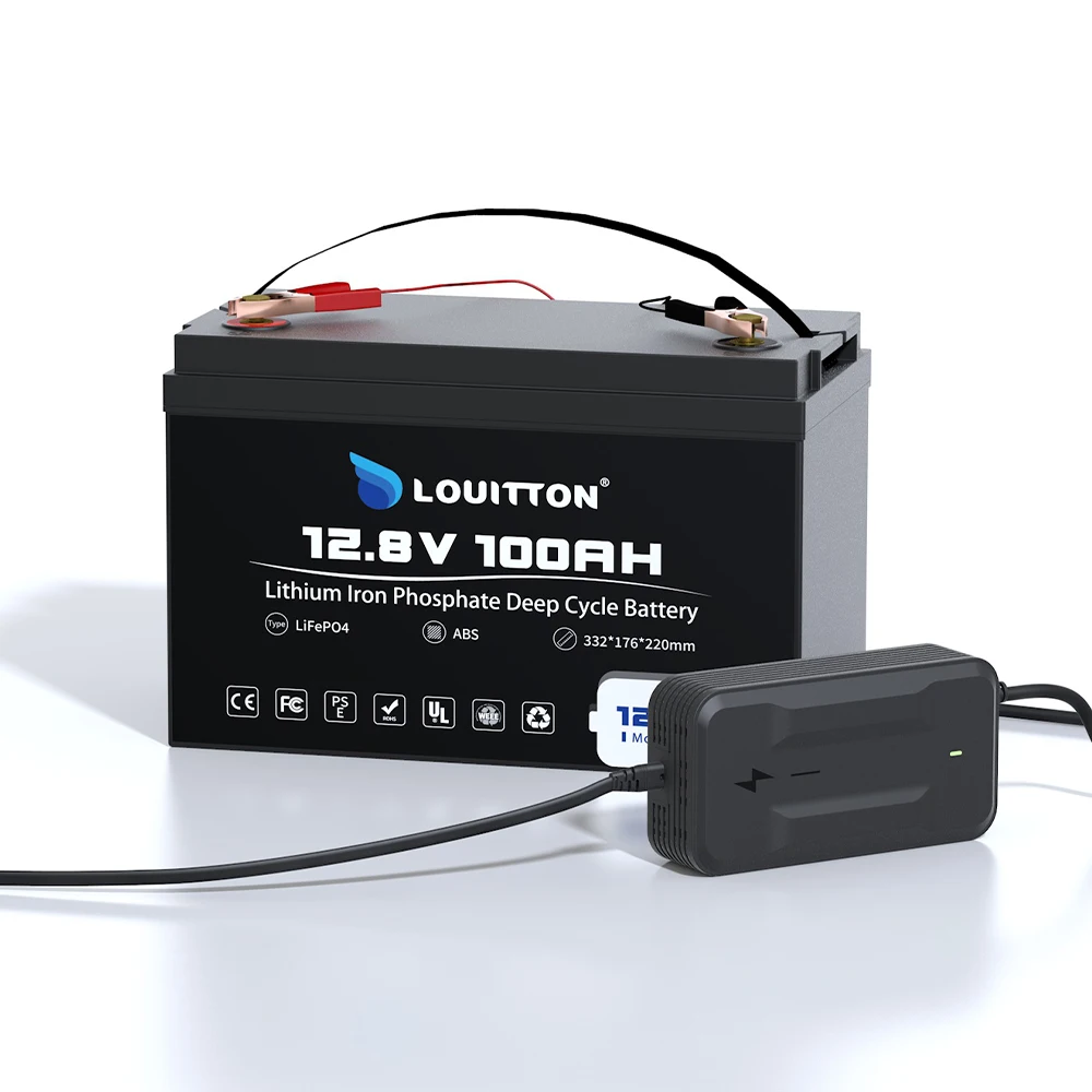 12V 24V LiFePO4 Battery Pack 50AH 100AH 200AH 300AH Lithium Iron Phosphate Batteries Built-in BMS for Off-grid Sloar Boat