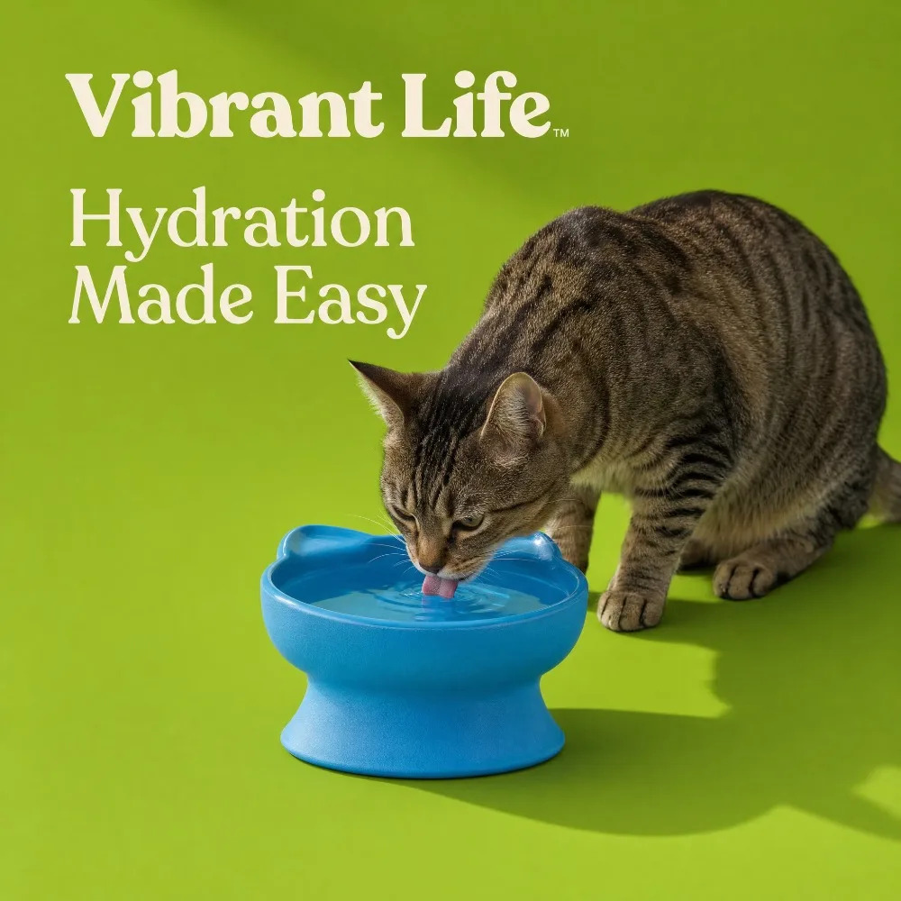 Elevated Cat Bowl with Ears Design Pet Food Water Dish Cute Non Slip Plastic Feeding Container for Cats and Small Dogs Blue view 6