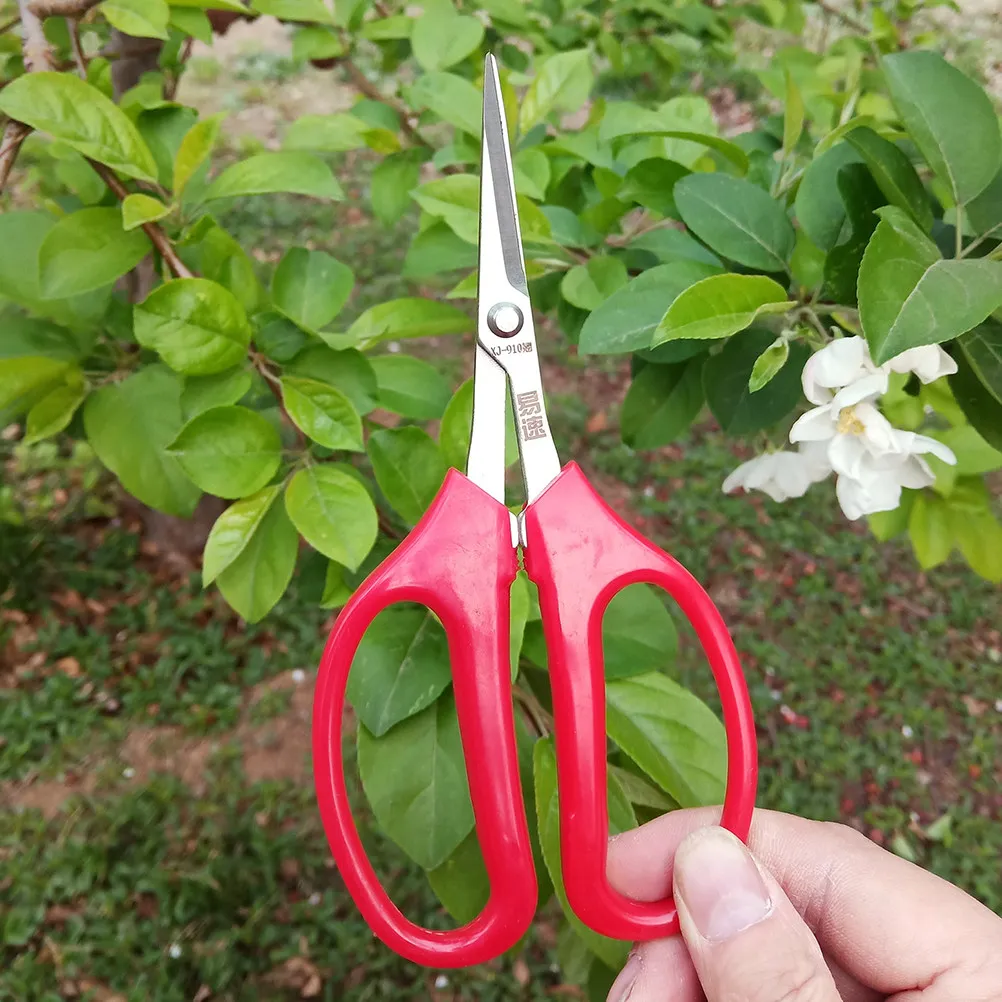 

Heavy Duty Floral Shears for Pruning Potted Plants Flowers Orchard Fruit Trees Smooth Compact Body Wear Resistant Material Easy