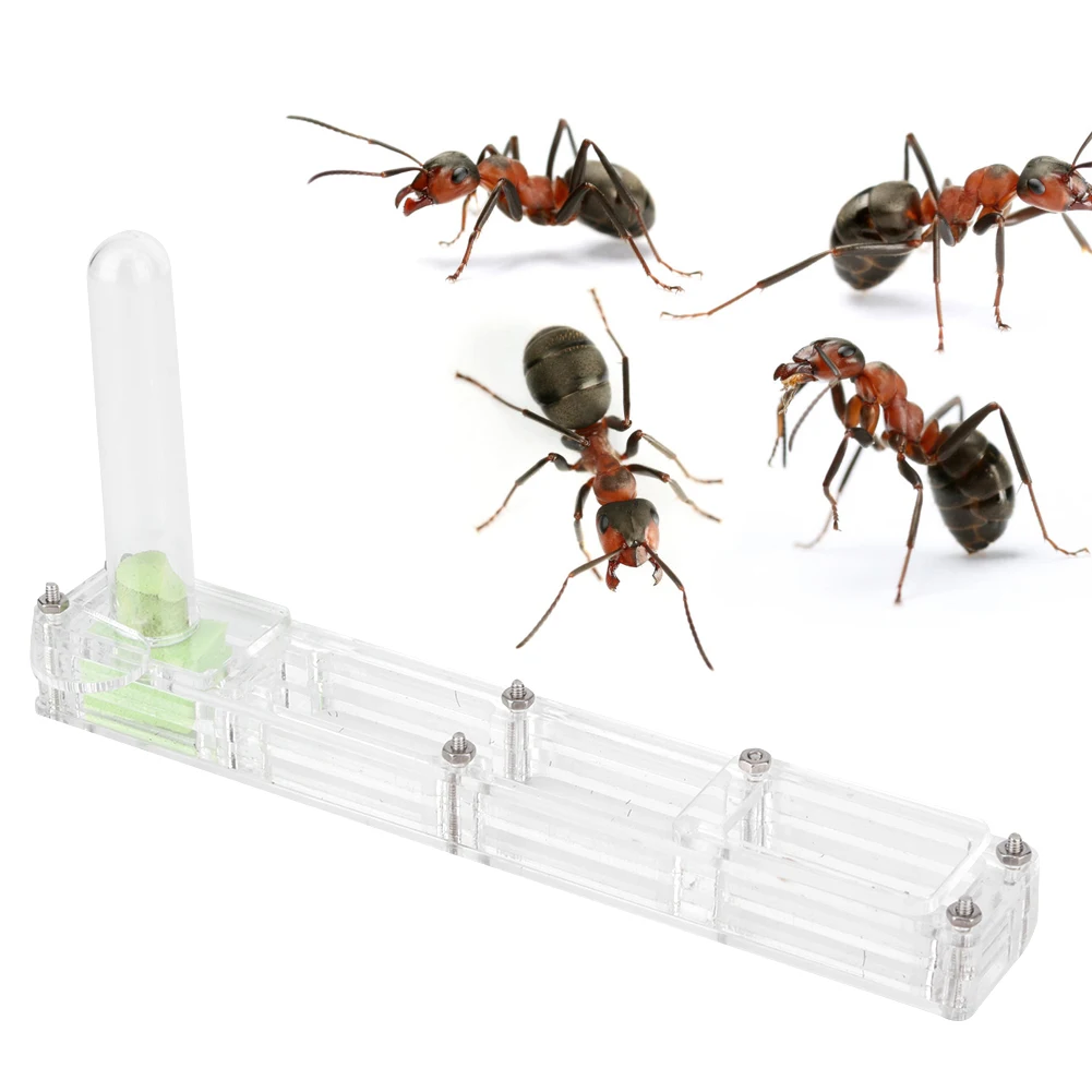 Acrylic Ant Breeding House Nest Formicarium Display Box with Water Tower Moisturizingtransparent