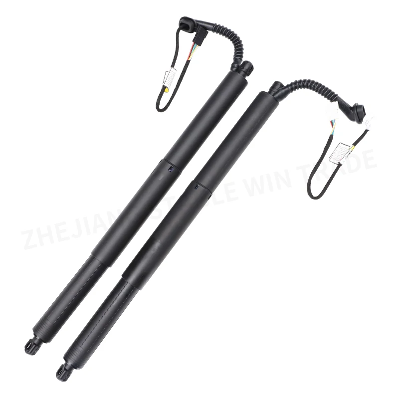 

Pair Rear Trunk Liftgate Power Hatch Lift Support Opener For BMW X5 M sDrive35i xDrive35i xDrive40e 51244823279 51244823280