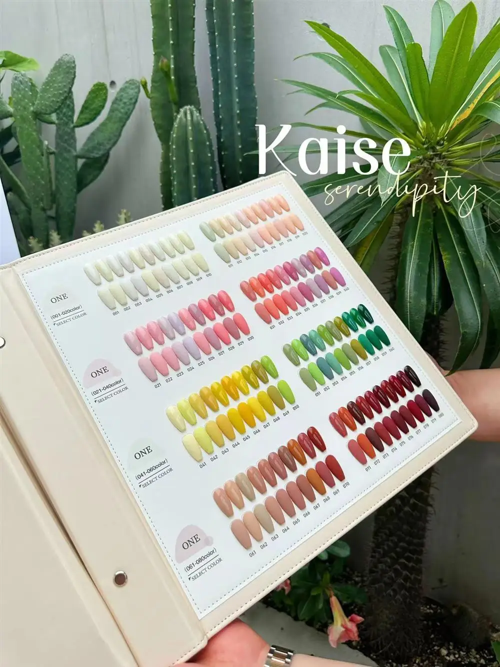 Agreise-Ensemble de gel à ongles multicolore dépareillé, 220 couleurs, nouveau modèle, kit d'art, salon de manucure, article chaud, gel non CUUv, 2024