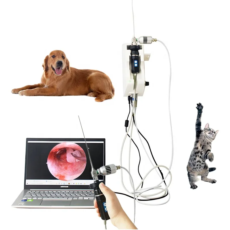 Medical Veterinary Endoscopic Laryngoscope Articulating Endoscopic System Equipment for Hospitals and Clinics