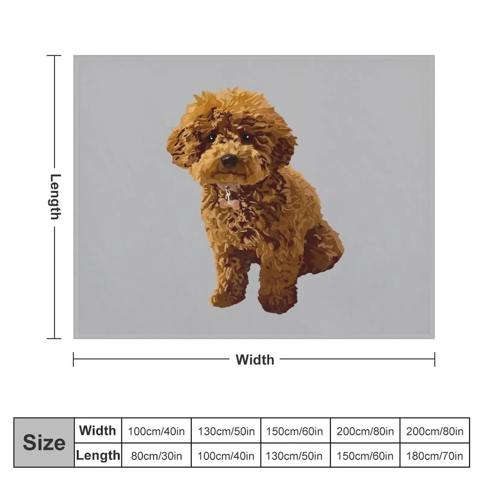 Ginger the Toy Poodle on Grey background Throw Blanket Luxury Brand Custom Luxury Blankets For Bed Blankets