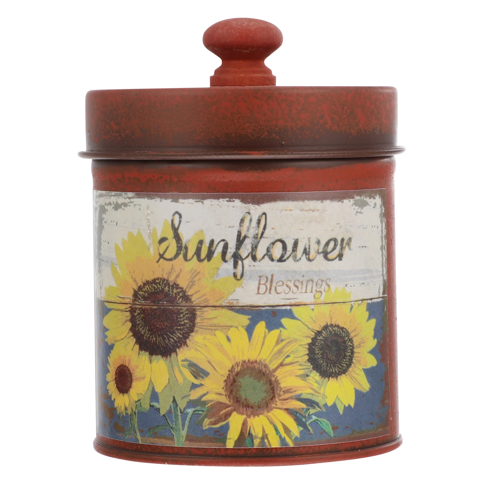

Vintage Decor Iron Flower Bucket Succulent Plant Flowerpot Accessories Retro Holder Growing Storage Container with Lid