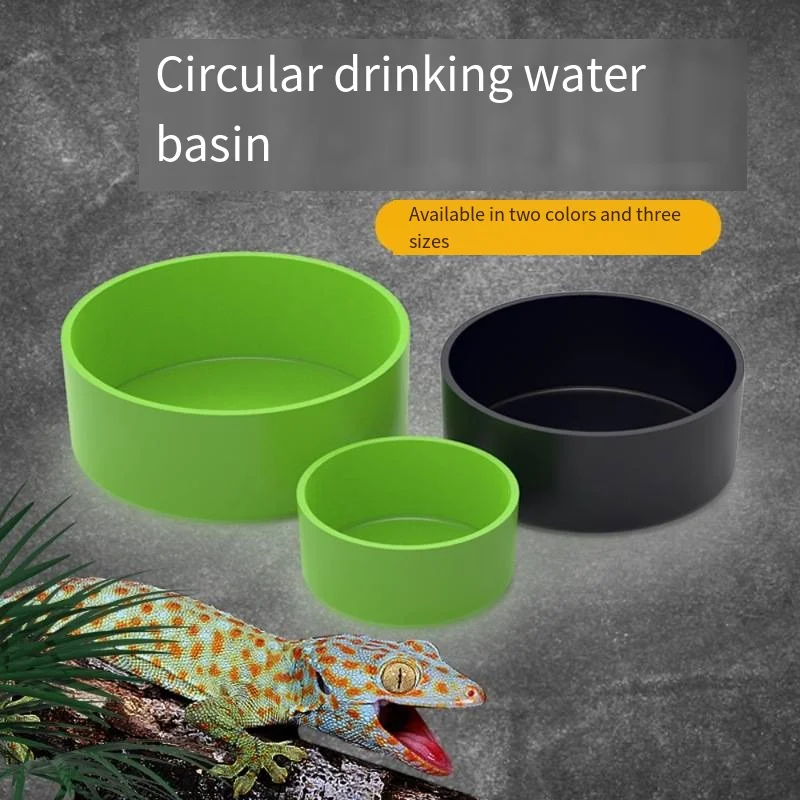 Reptile And Inverte…