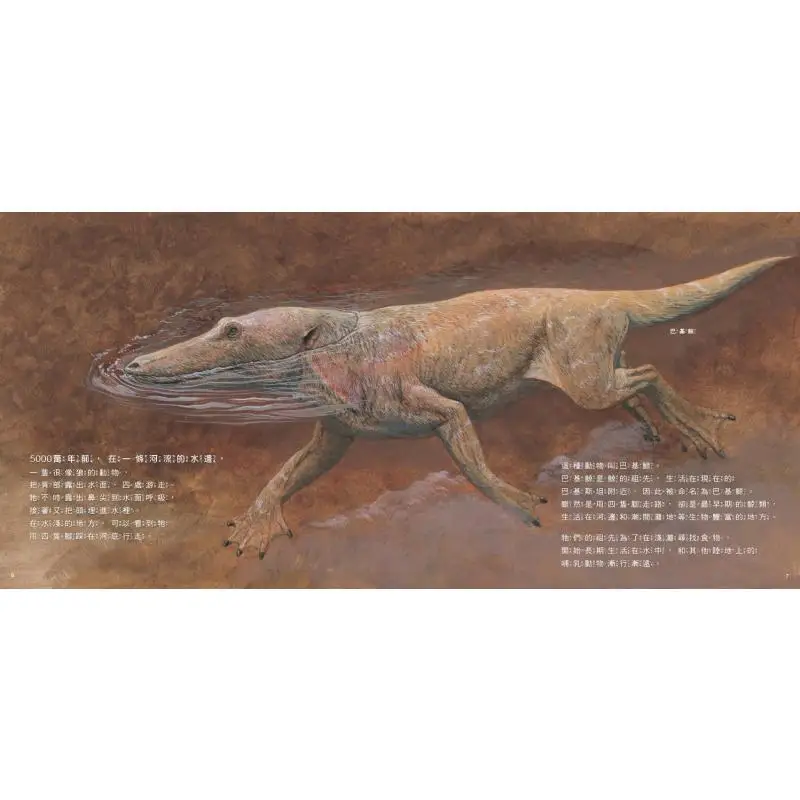 The Evolution Of Whales From Land To Sea The Latest Whale Knowledge X Marine Science Picture Book Hiroya Mizuchi 9786263558847