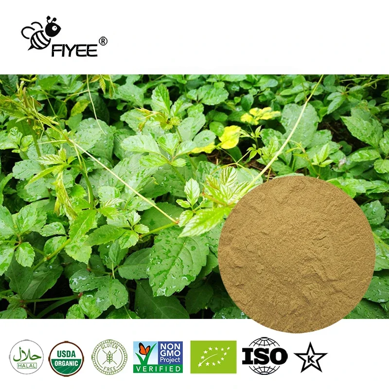 

High Quality 100% Pure Gynostemma,jiaogulan