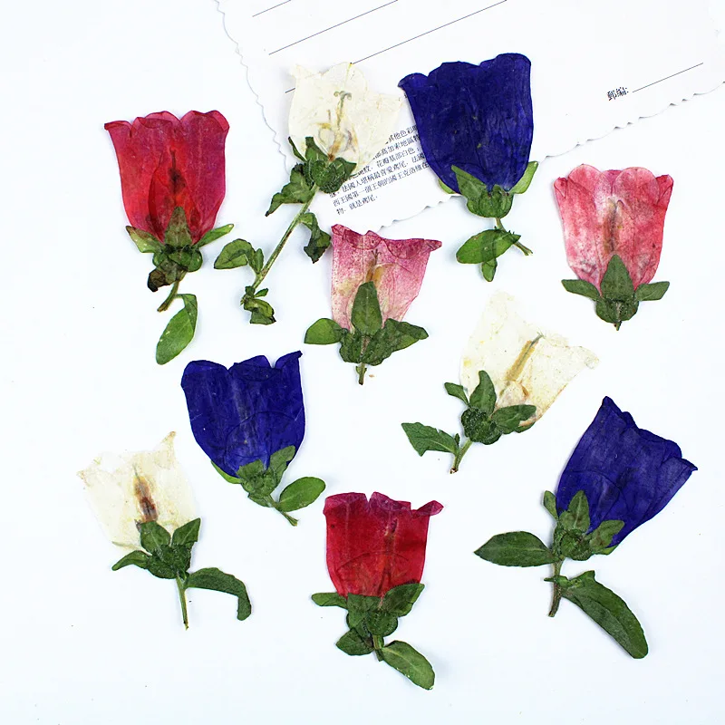 

60Pcs Wind Chime Flower Dried Flower Embossing Material DIY Real Flower Handmade Plant Specimen Embossed Flower Bookmark Photo Frame Decorative Painting