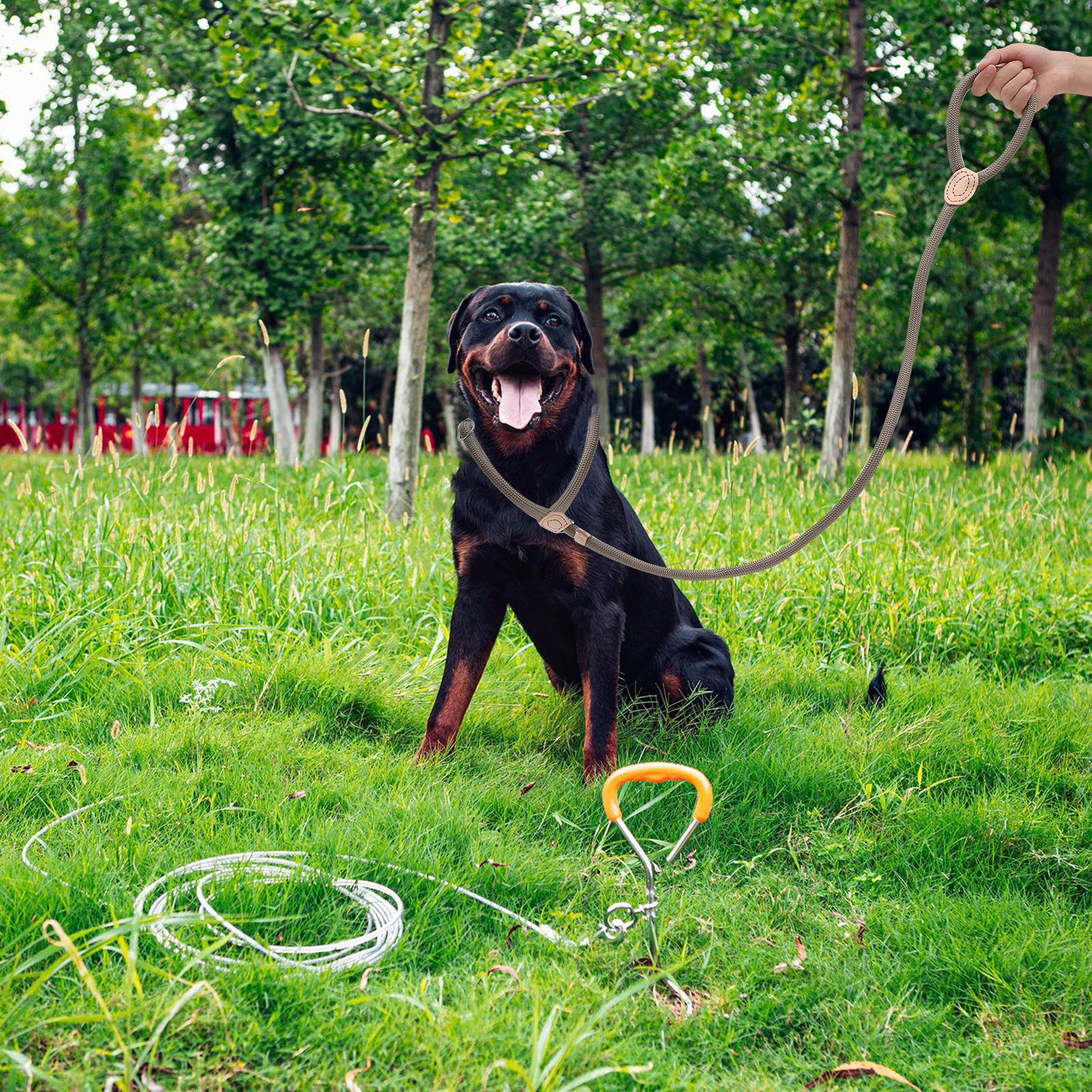 

Nylon Dog Leash 14MM 1.5M Heavy Duty Adjustable Walking Rope for Small Medium Dogs Outdoor Traction Pet Leash H Dog Rope