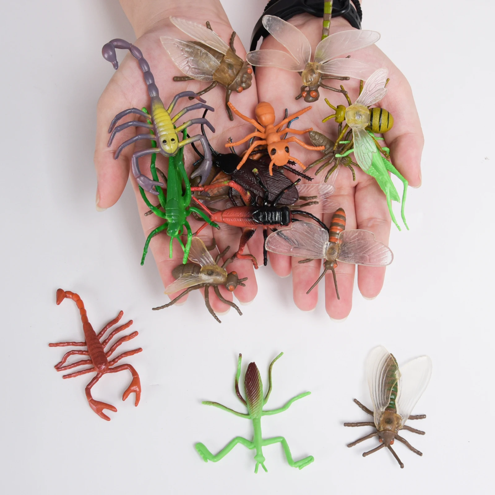 لعبة محاكاة نموذج حشرة ، حشرة صغيرة ، خنفساء عنكبوت ، عقرب ، مجوهرات فراشة ، هدية مهرجان ، حفلة ، 12: 17 ، 22