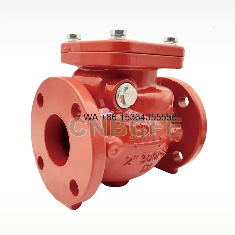 Wmwmnu for Baichuan Ductile Cast Iron 2-12 Inch 300PSI 365PSI Flange Swing Check Valve for Fire Fighting System Certificated