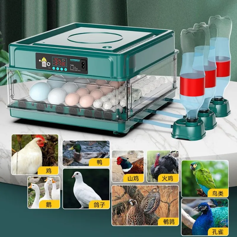  Eggs Incubator Fully Automatic Turning Hatching Brooder Farm Bird Quail Chicken Poultry Farm Hatcher Turner  kuluçka makinası