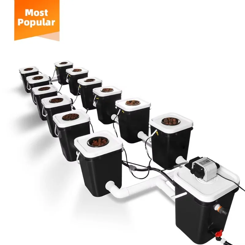 Produttore di secchi per coltivazione idroponica con sistema di micro coltivazione idroponica RDWC a prezzo economico dalla Cina