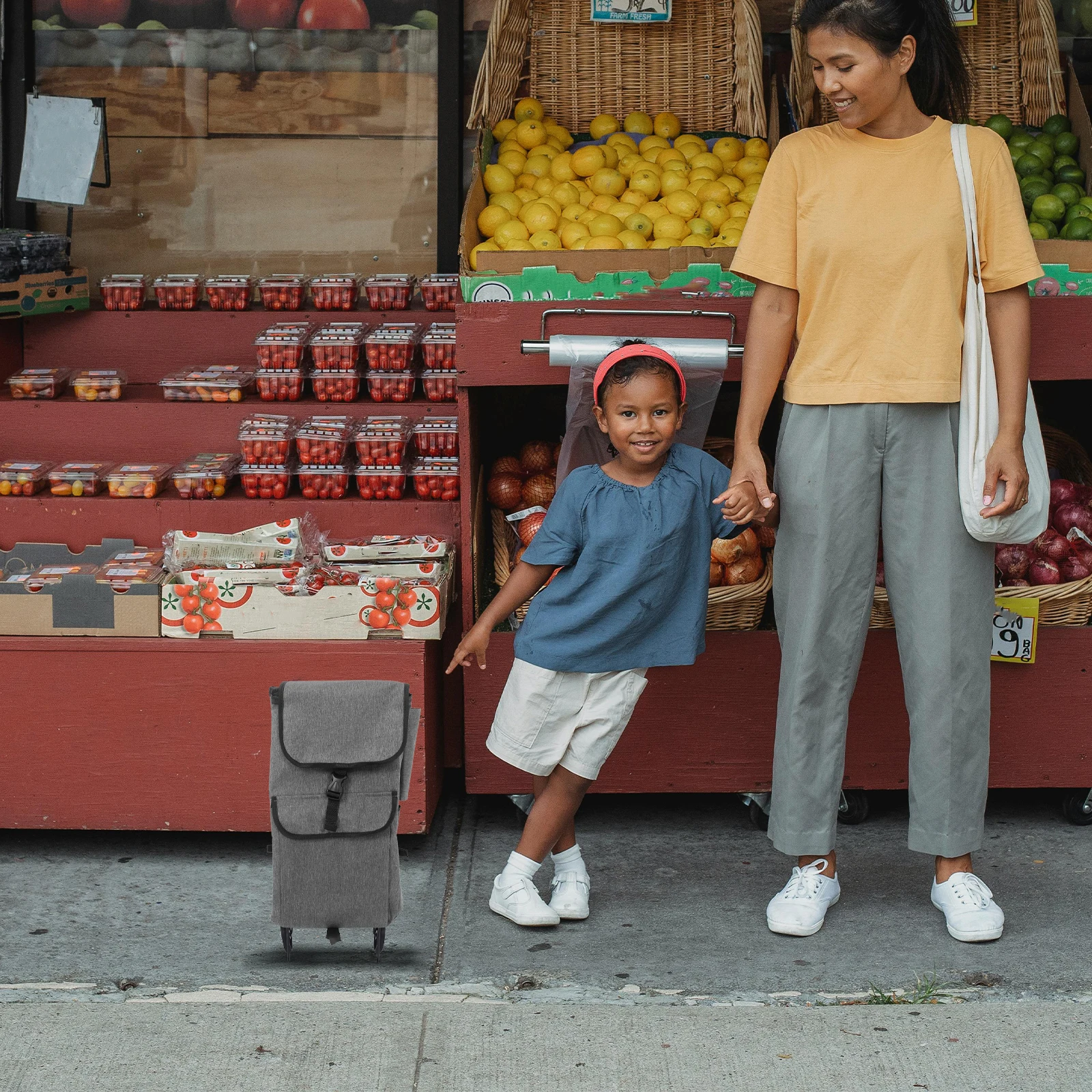 

Trolley Bag Large Capacity Shopping Cart Liner Replacement Thick Oxford Cloth Reusable Grocery Bags Trolley Tote Storage
