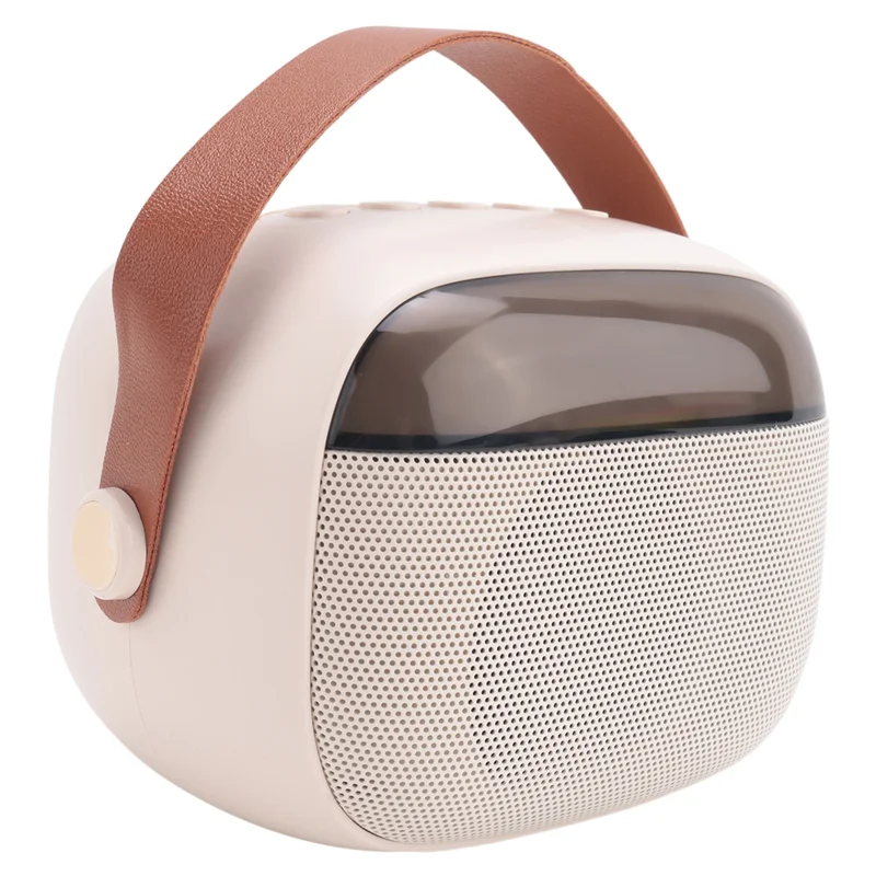 Affidabile macchina per karaoke per bambini, altoparlante Bluetooth portatile con 2 microfoni wireless