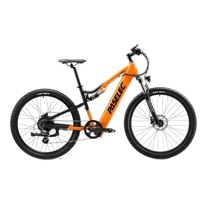 

bike Adults 500w ebike Full suspension mountain ebike e MTB with 13ah battery