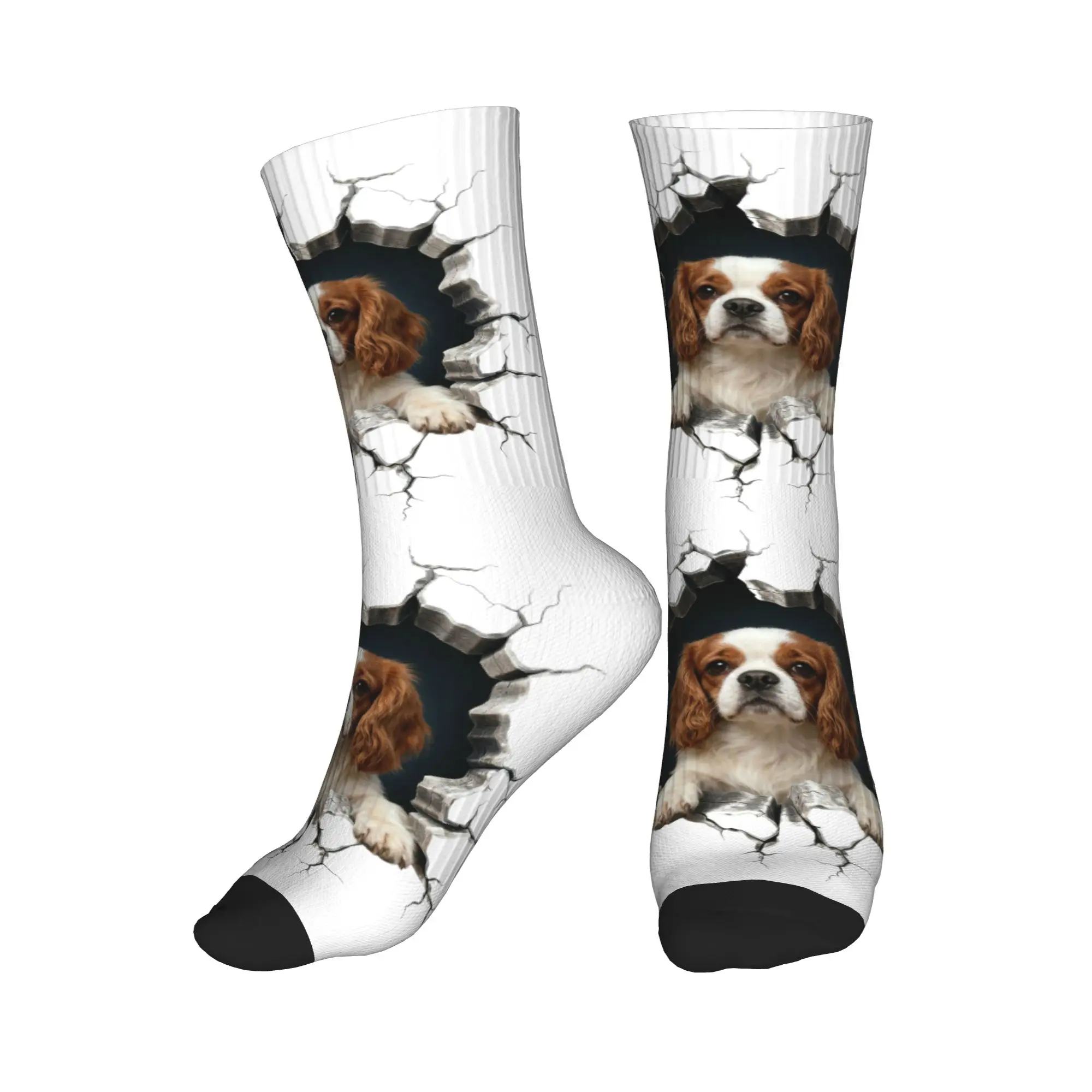 

Мужские носки с дизайном Cavalier King Charles Spaniel Wall Breaker, забавные носки унисекс с 3D-принтом для любителей собак
