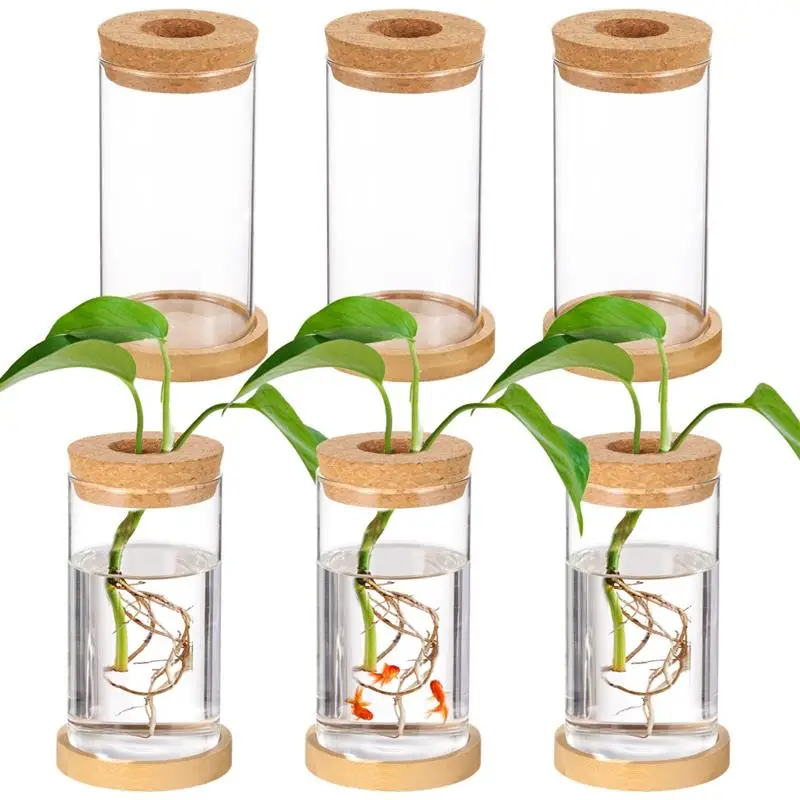 6Pcs Plant Terrariums Desktop Glass Planters With Corks Bamboo Saucers Plant Propagation Vases Tabletop Water Planting Container