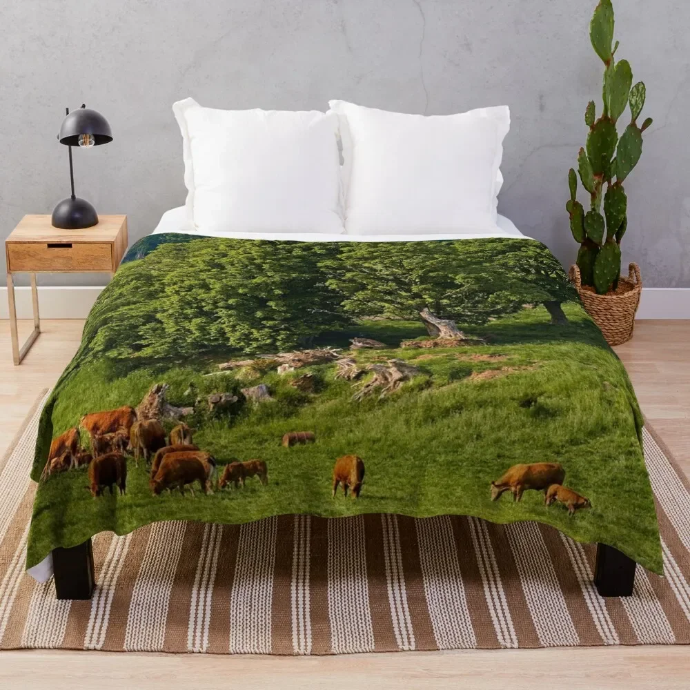 

English Country Farming Scene Throw Blanket Decorative Throw Camping Blankets