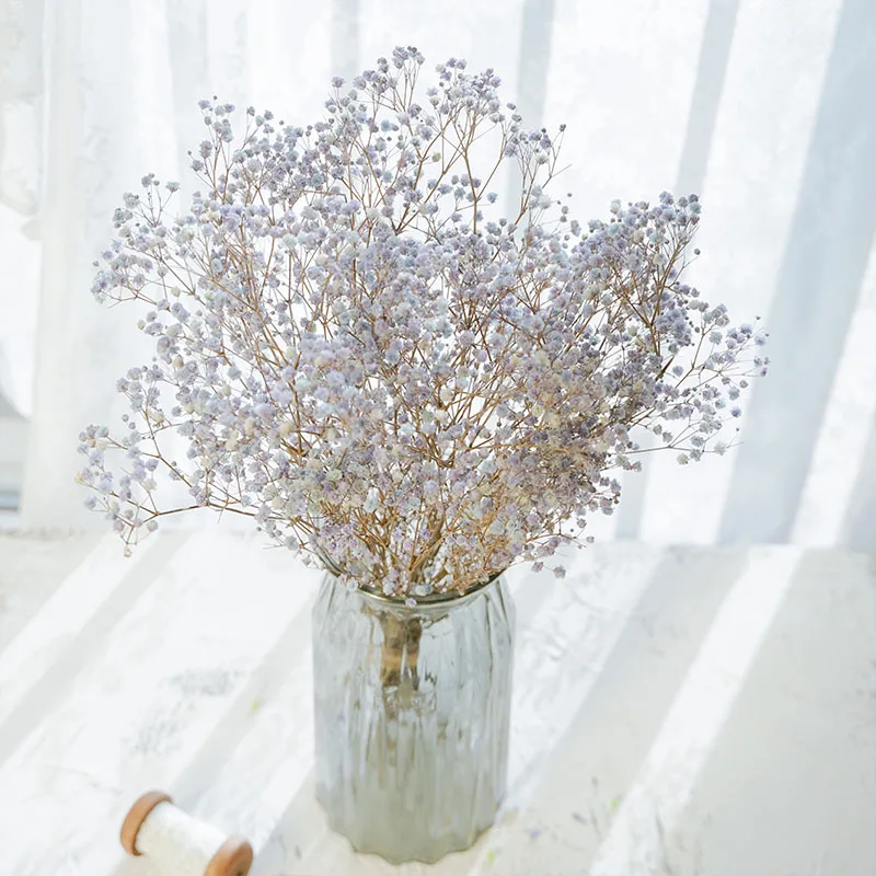 Gypsophila Dried Flower Natural Babysbreath Preserve Floral Plant Bouquet Wedding Party Backdrop Decor DIY Craft Home Decoration