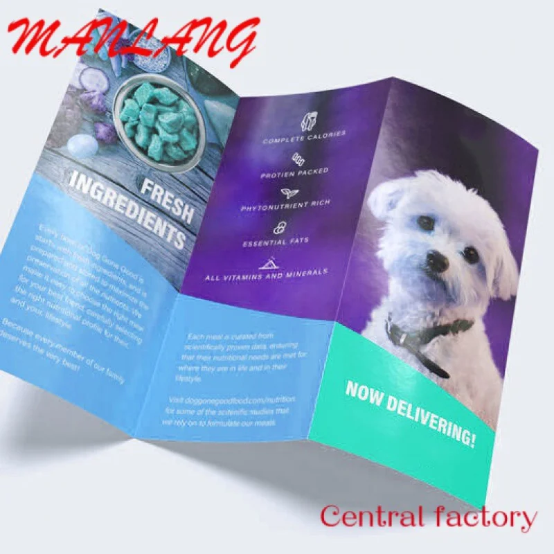 

Custom custom printing product leaflet flyer 3 fold leaflet Z cards brochure printing