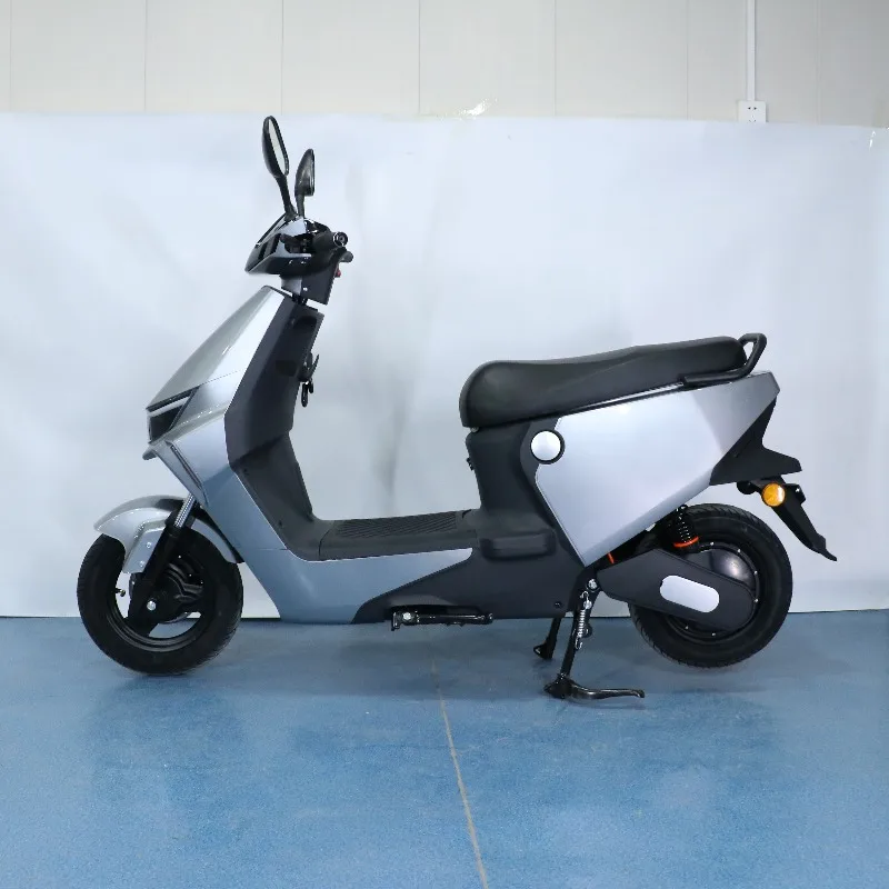 SXLL Elektro-Motorrad 12-Röhren-Controller für Erwachsene, Elektro-Motorrad