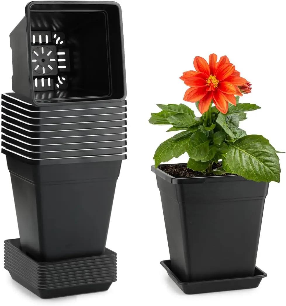 

6 inch Plant Pots, 10 Pack Flower Pots Outdoor Indoor, Square Plastic Planter with Drainage Holes and Saucers, 0.5 Gallo