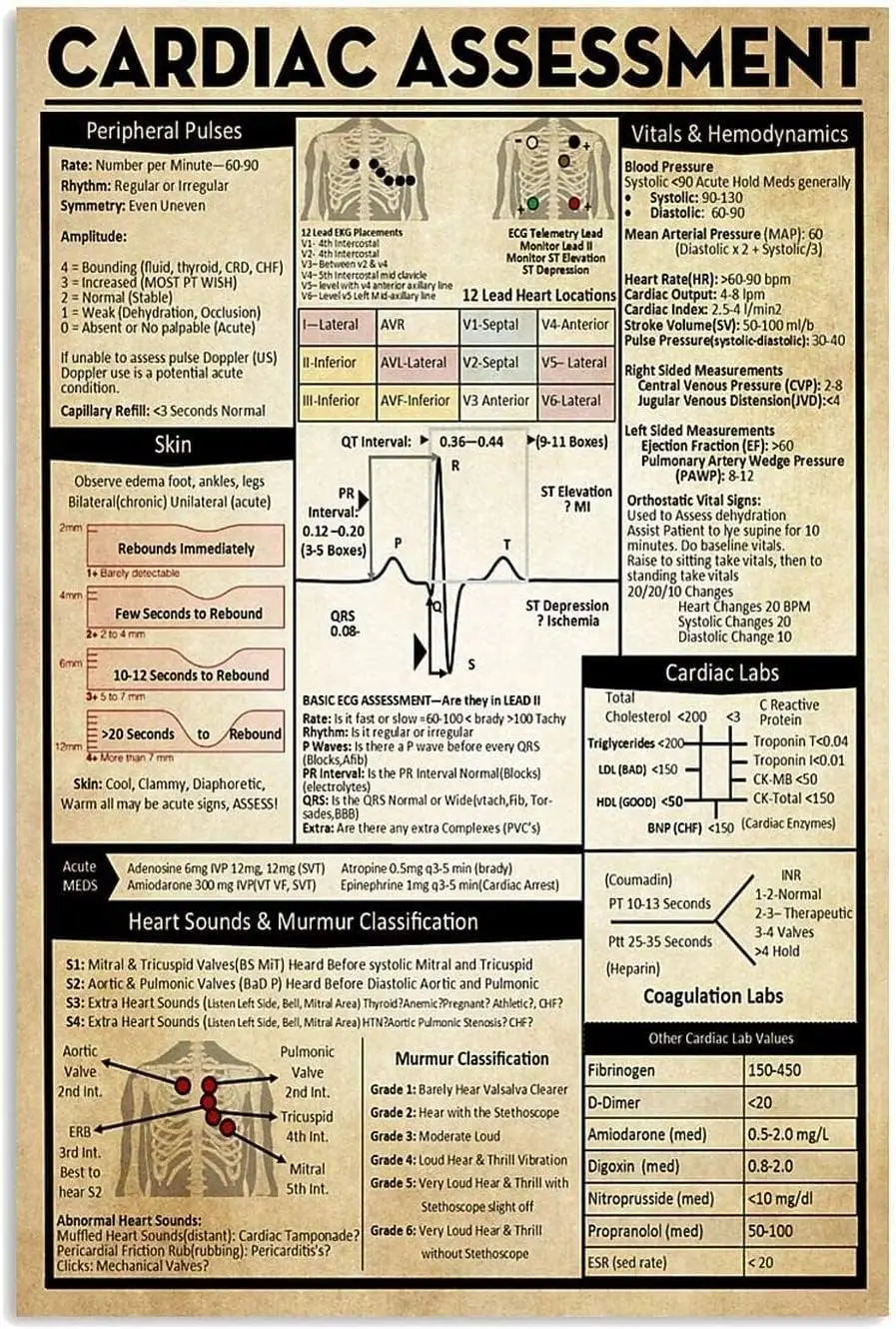ESETASOT Cardiac Assessment Overview Metal Signs Wall Decor Cardiologist Knowledge Retro Posters Doctor Office Hospital Edu sign