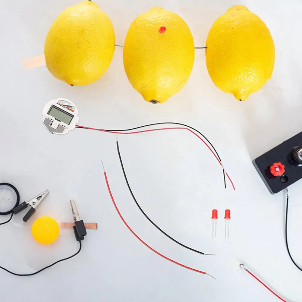 2 Sets Fruit Experiment Science Toys Students Clock Kit Copper Sheet for Physics Kits Sensory Prop