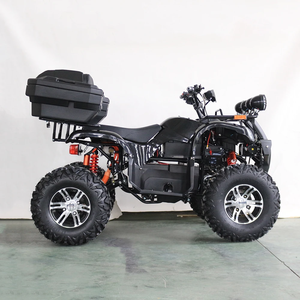 Взрослый спортивный электричес – обзор и цена Electric Quad Bike 2000W