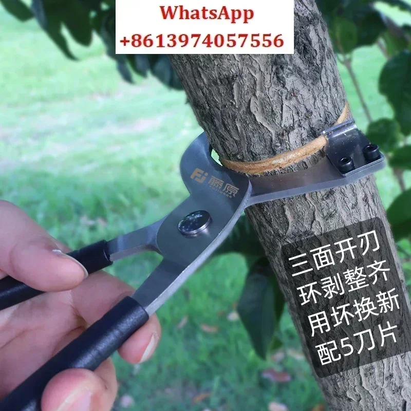 

Ring peeler clamp gelding jujube tree fruit tree peeling knife garden tool cutting bark