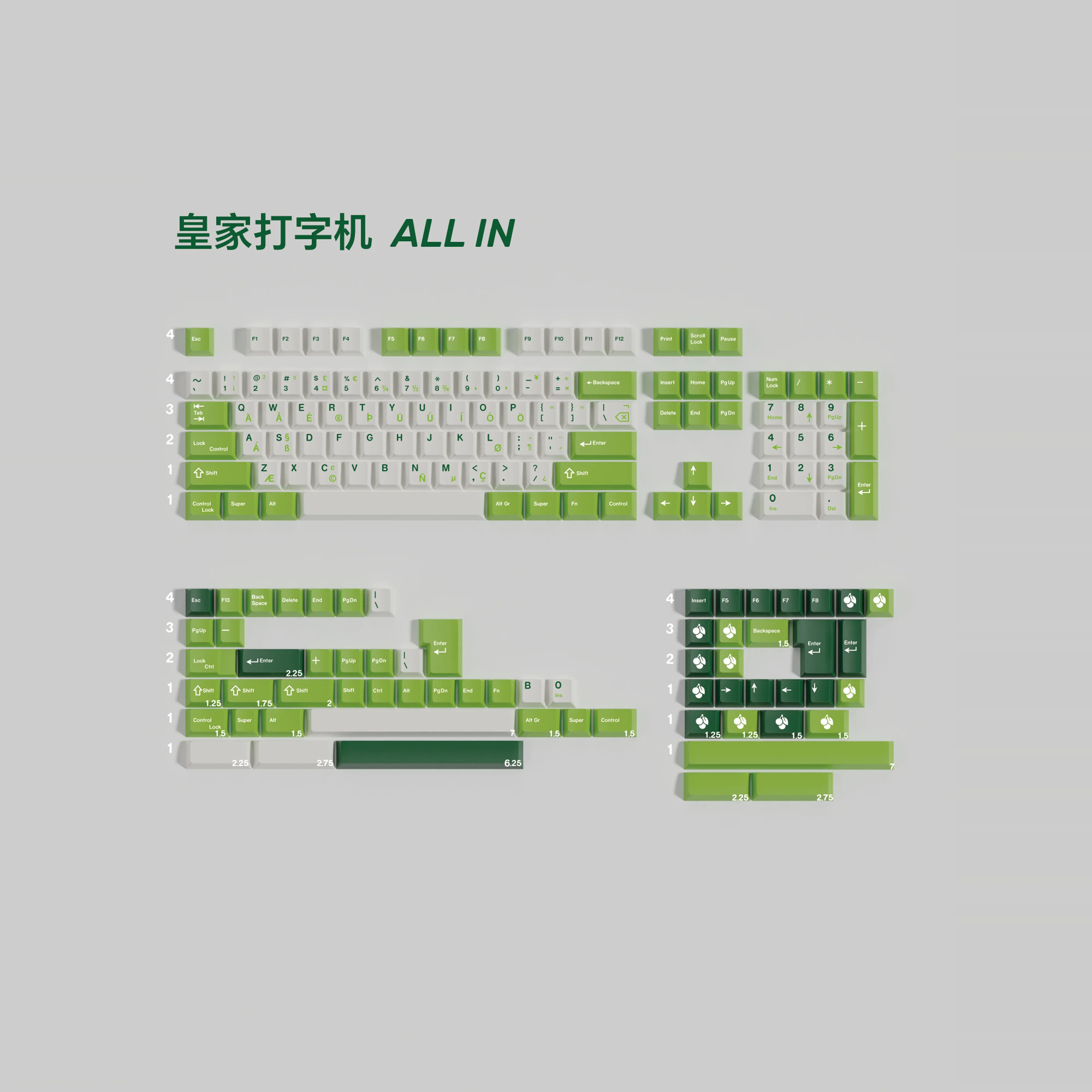 Royal Typewriter Fi…