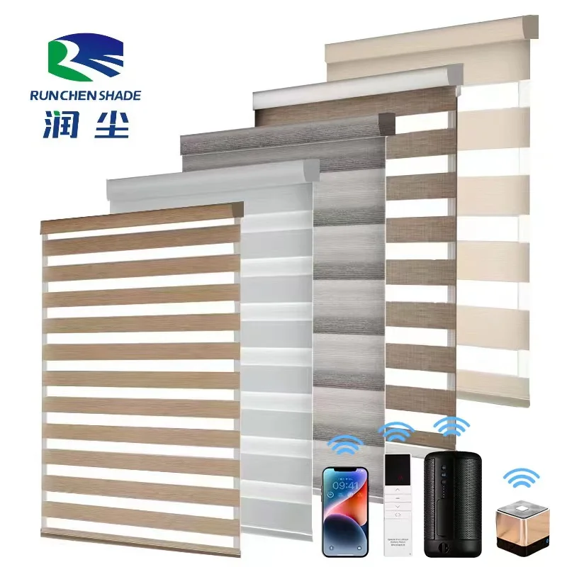 New Professional Indoor Chain  Modern Fashion Blinds Manufacturer Zebra Blinds