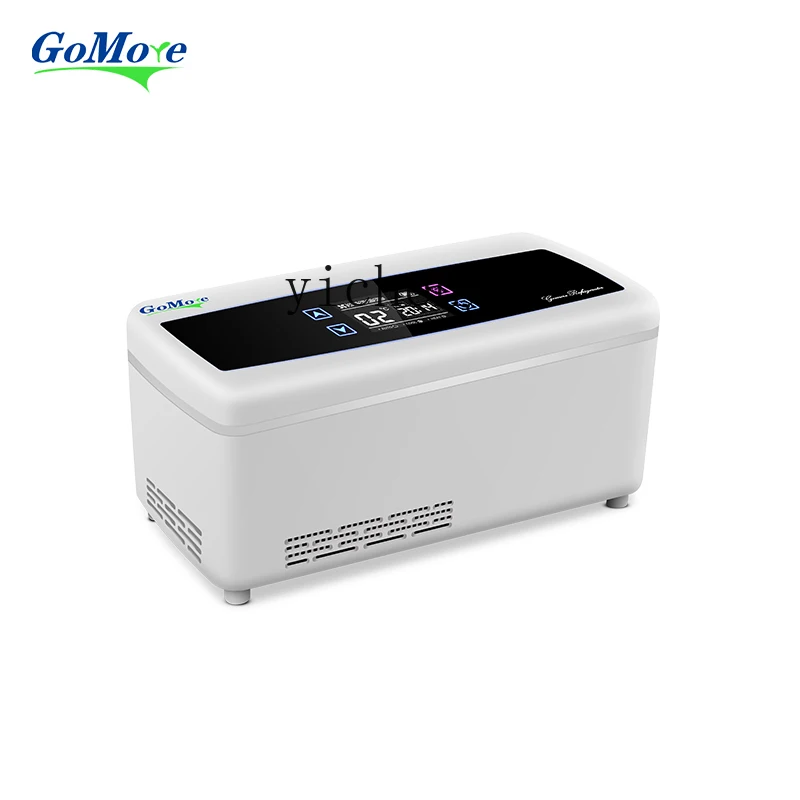 XL Cold Storage Box Portable Refrigerator Refrigeration Constant Temperature Charging Small Car Mini