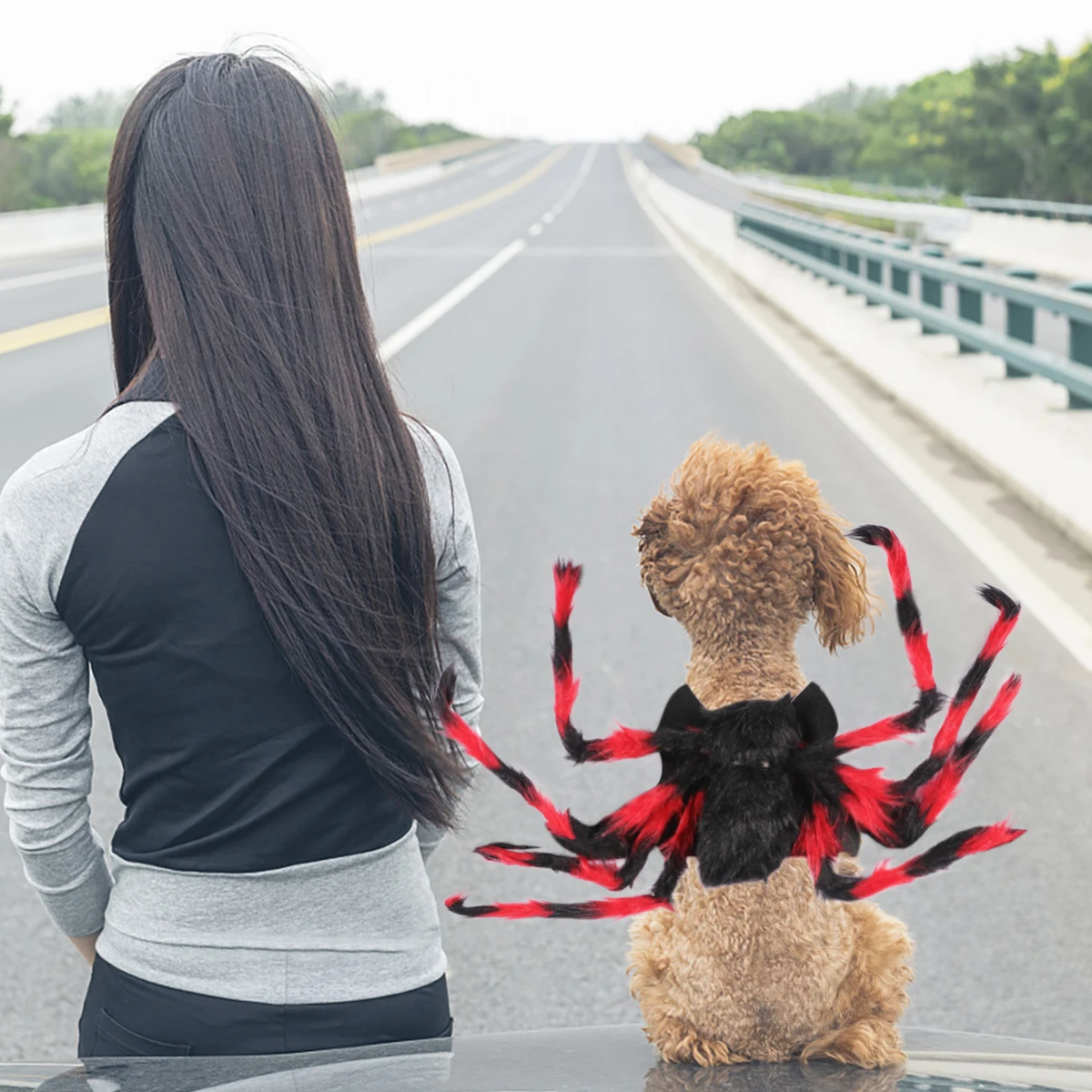 

Pet Spider Costume Outfits Halloween Pets Costumes Strap for Cute Cosplay Clothes