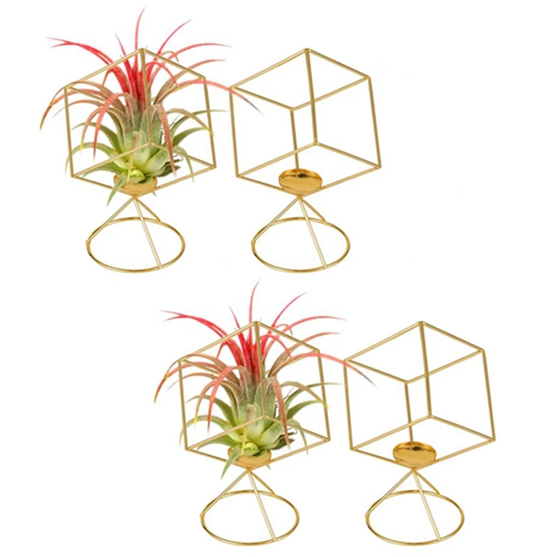 

Air Plant Holder 4 Pack Tillandsia Air Plants Stand Hanging Containers Display Racks For Home Decoration Gift