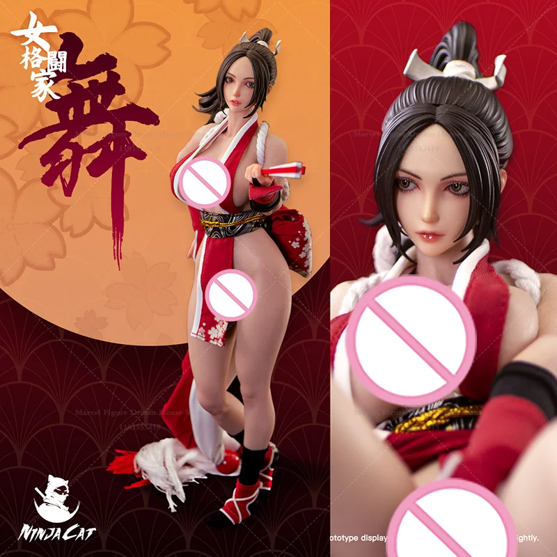 

В наличии N001 масштаб 1/6, очаровательный женский фанат ниндзя, истребитель Ninjitsu Successor, 12 дюймов, полный набор, экшн-фигурка, солдат, игрушки