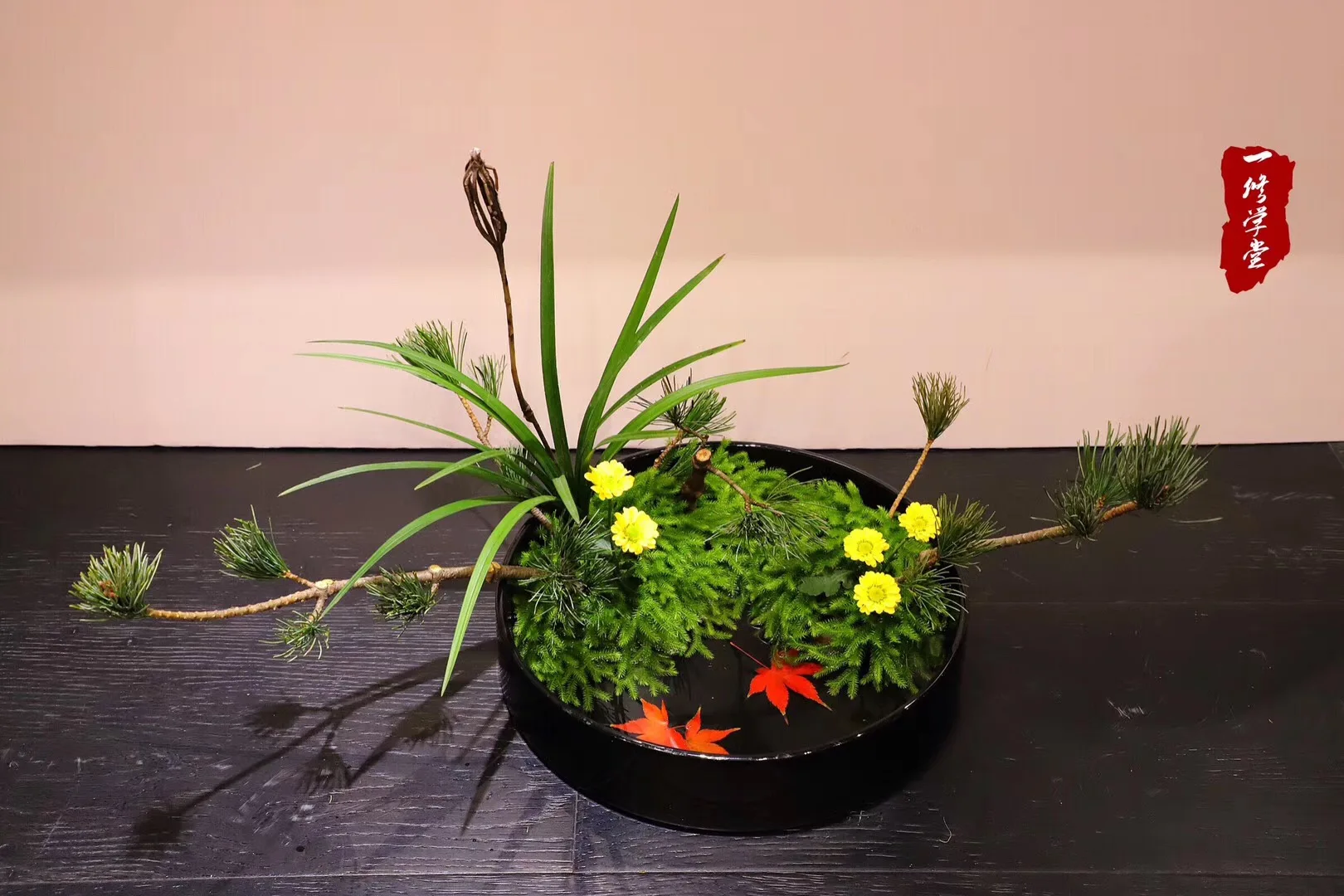 

Комплект из 4 металлических дисков-бидлоков 2,2 дюйма из алюминиевого сплава для радиоуправляемых краулеров TRX4, TRX6, Axial SCX10 III 1/10