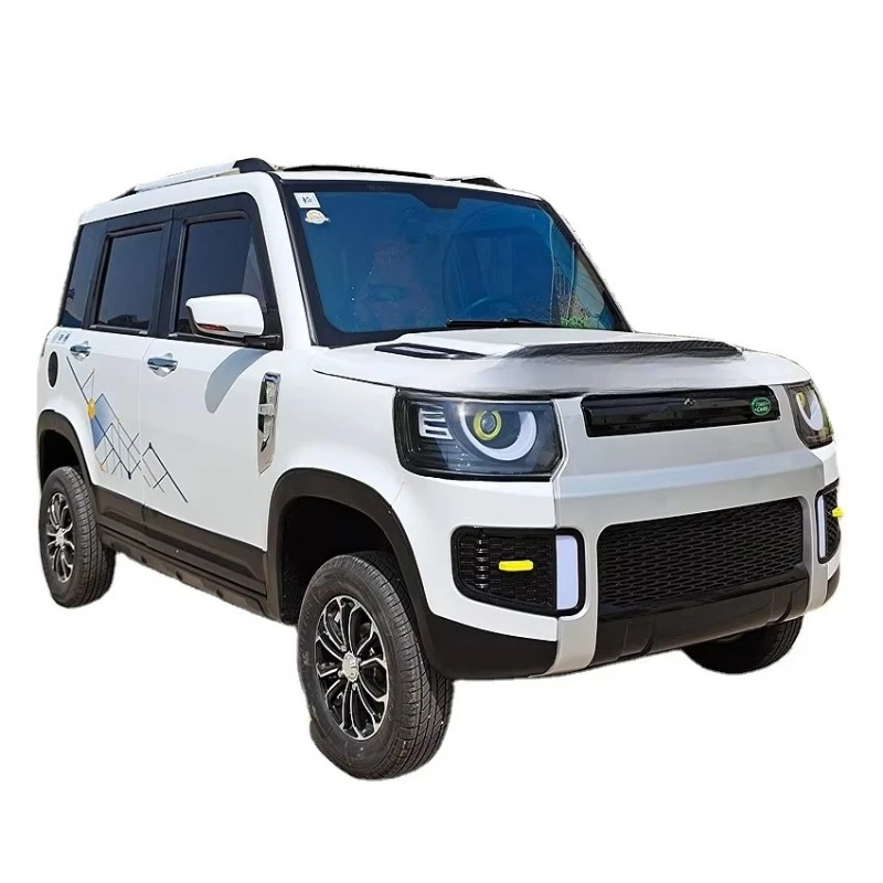 New energy vehicle low-speed electric vehicle electric vehicle double row 2000W LCD screen cost-effective