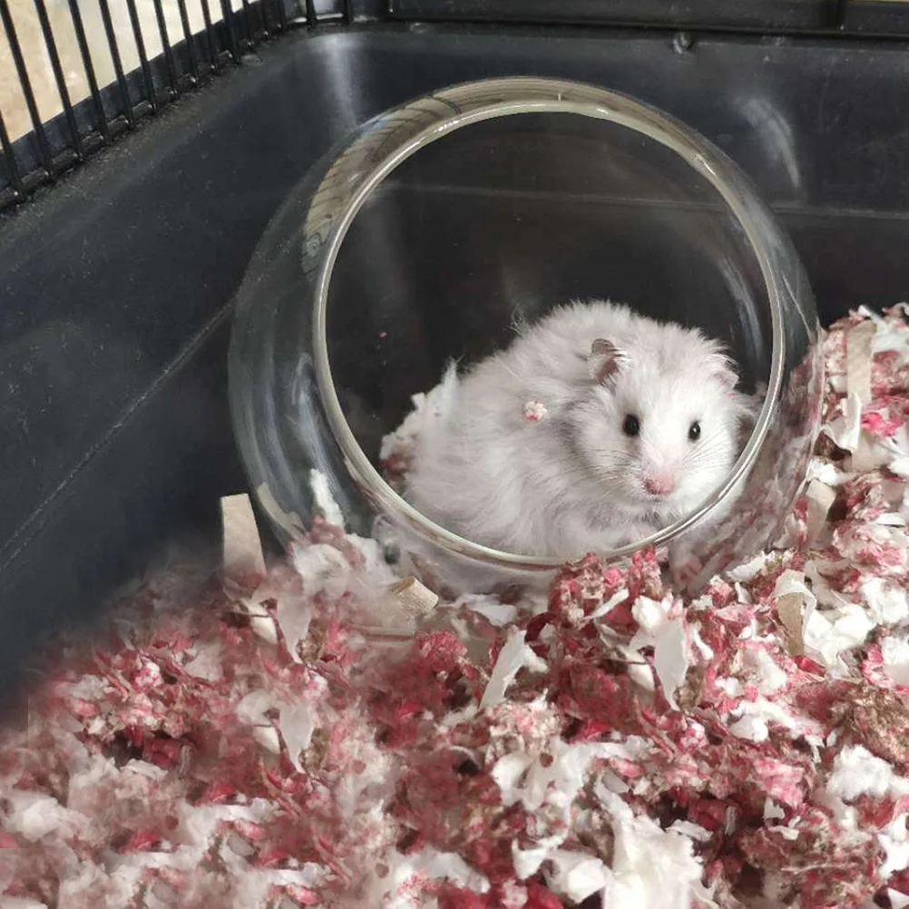 

Hamster Shelter Glass Cage Relaxation Spot Toilet Hideout Home Small Animal Cooling