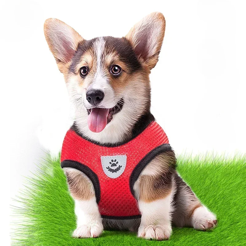 Adjustable Dog Collar Walking Cat Small Dog Harness Vest Leash Teddy Corgi Collar Breathable Chest Strap Out Rope Pet Accessory